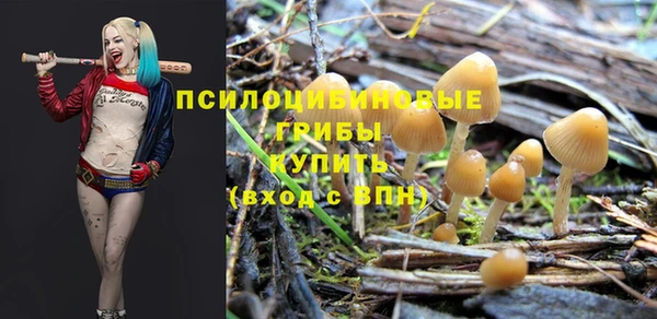 молекула духа Арсеньев