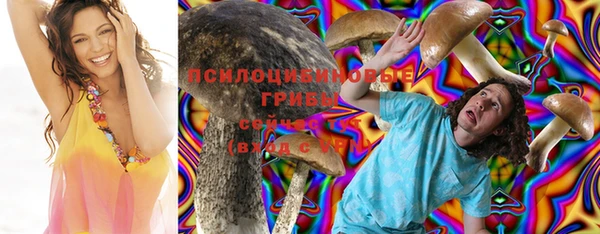 твердый Алзамай