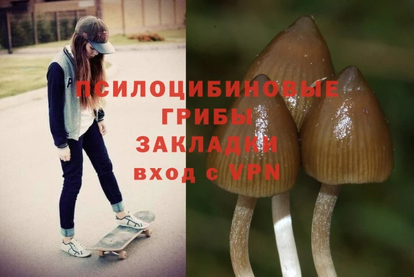 гидропоника Армянск