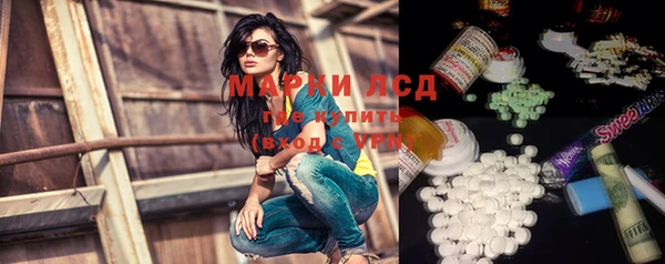молекула духа Арсеньев