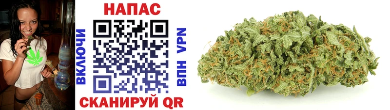 KRAKEN как войти  Выкса  Шишки марихуана OG Kush 